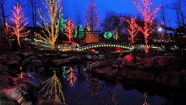 christmas-lights-at-creation-museum